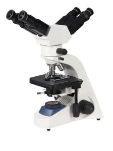 Dual head Microscope