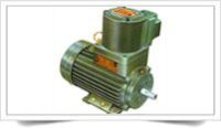 Explosion Proof Motor