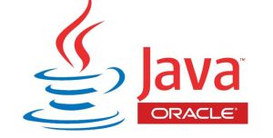Java Training Services