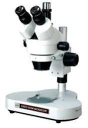 Zoom Stereo Microscope