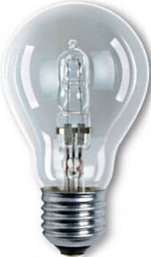 Halogen Lamp