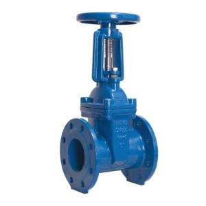 Cast Iron Gate Valve