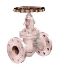 Din Globe Valve