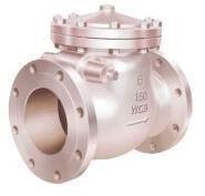 Swing Check Valve