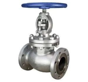 Stainless Steel Globe Valve