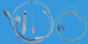 TEMPORARY PACING LEADS