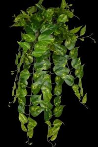 Artificial Hanging Creeper Plant