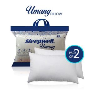 Sleepwell Pillows