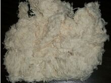 Hard Cotton Waste