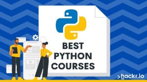 python training