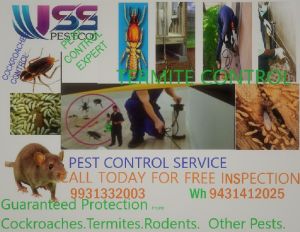 termite control