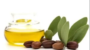 Jojoba Oil