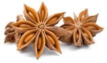 Star Ani Seeds