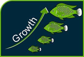 Growth Promoter Feed
