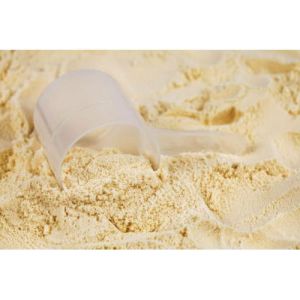 whey protein concentrate powder