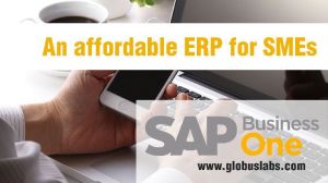 sap implementation service