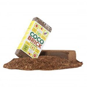 Coco Brick