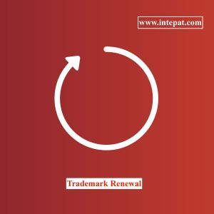 trademark renewal