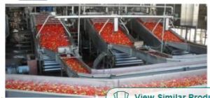 Tomato Puree Processing Plant