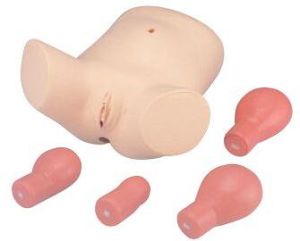 Puerperal Uterus Palpation Training Model