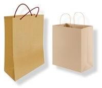 Paper Carry Bags