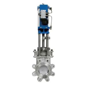 Knife Gate Valve