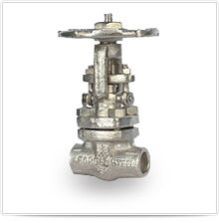 Forged Globe Valve