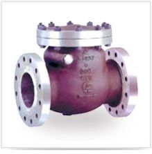 Swing Check Valve