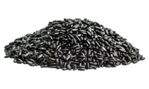 Black Rice