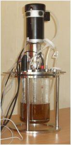 Fermenter Vessel