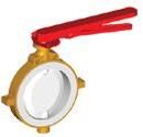 Lined Butterfly Valve