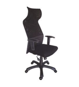 Ergonomic Chair