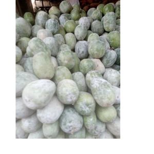 Organic Wax Gourd