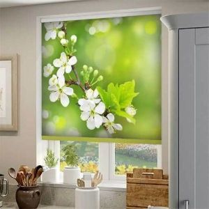 Printed Roller Blinds