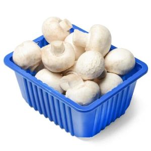 Fresh White Button Mushroom