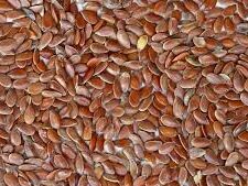 Castor Seed Shells