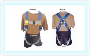 FULL BODY AND FALL PROTECTION SAFETY BELT