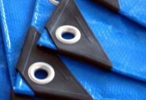 HDPE Laminated Fabric