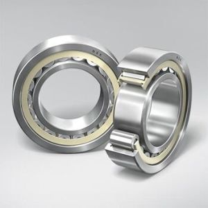 Cylindrical Roller Bearings