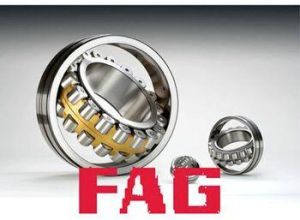 Fag Bearing