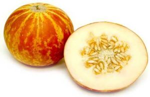 Milan Tiger Muskmelon