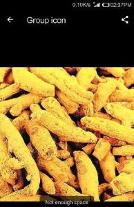 Turmeric Finger