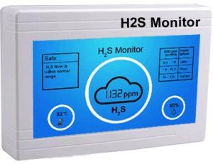 H2S Monitor