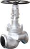 Bellow Seal Valve