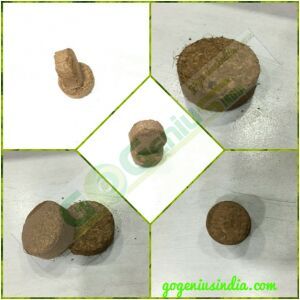 Coco Peat Coins