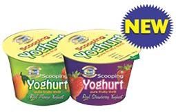 Yoghurt