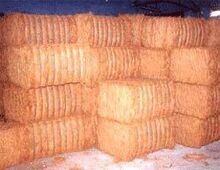 Coir Fibre