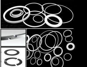 Ptfe Rings