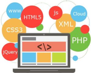 Web Development Services