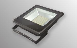 Flood Light